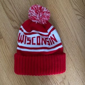 Wisconsin winter hat
